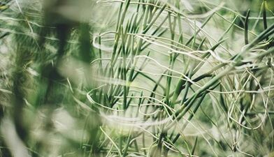 Як зробити амулет на удачу своїми руками