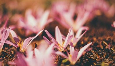 як зробити амулет на удачу своїми руками